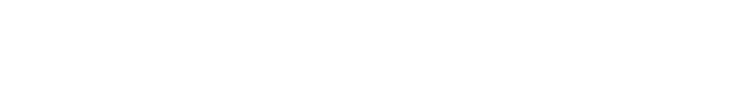 Portfolio OS — preview