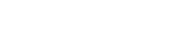 SmallFly — preview
